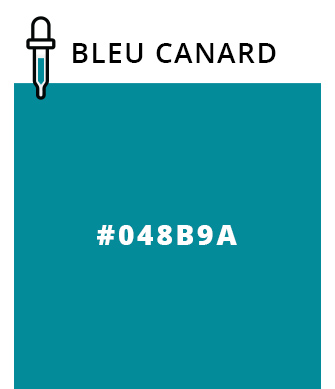 Bleu canard - #048B9A