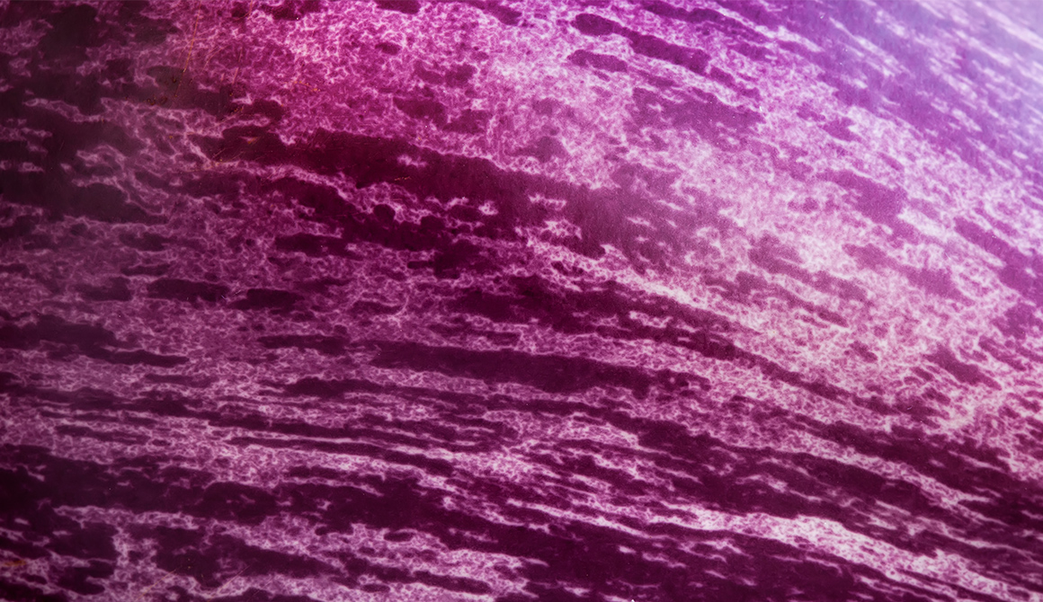 Signification Aubergine Signification Aubergine