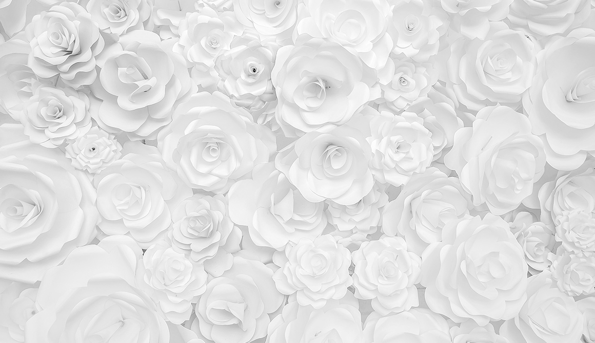 Fleur blanche Fleur blanche