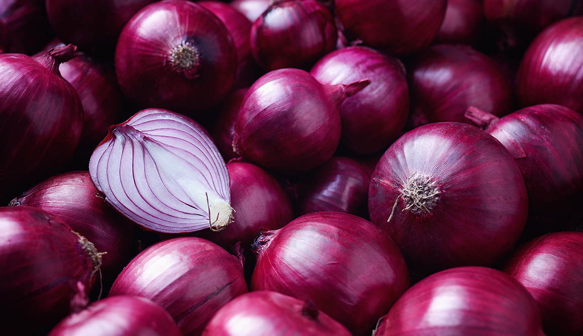 Signification du Pourpre