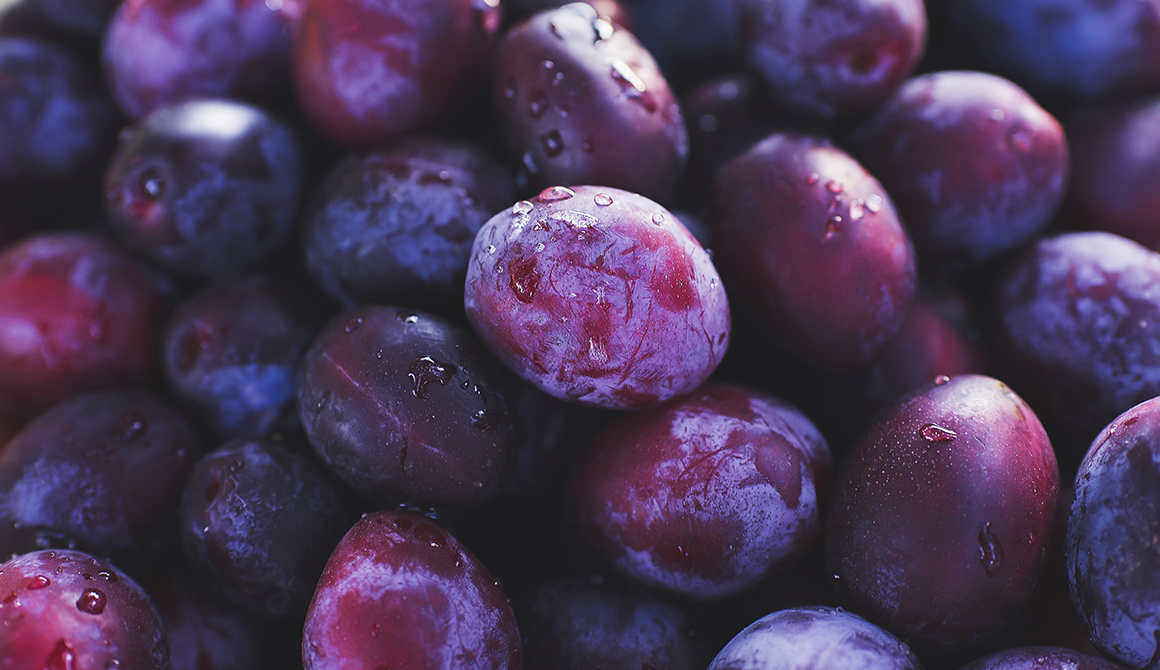 Signification du Prune Signification du Prune