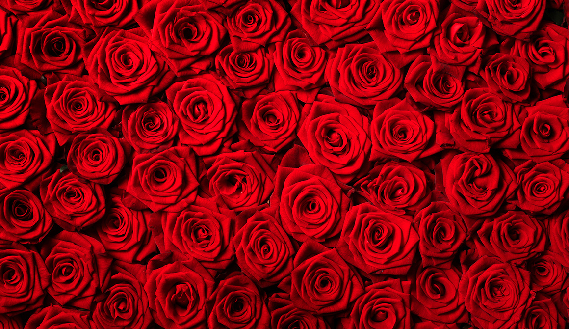 https://www.code-couleur.com/images/main/signification-rouge-rose.jpg