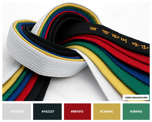 Couleur de ceinture de judo