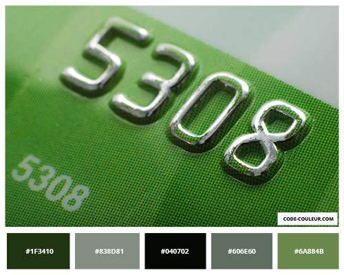 Carte de crédit verte