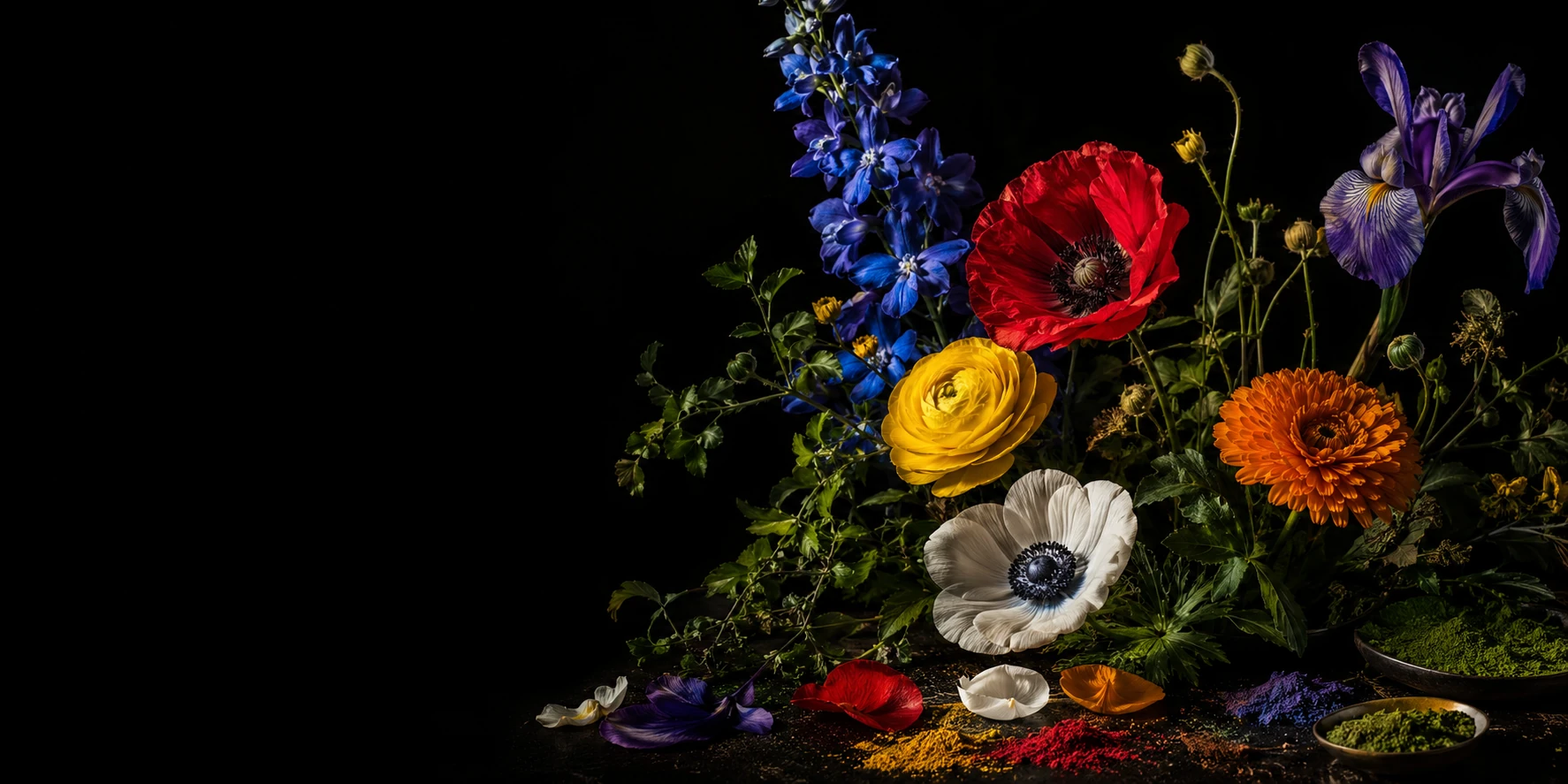 Couleurs des fleurs — Pigments, nuances et usages